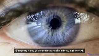 Regenerating the Optic Nerve and Restoring Vision